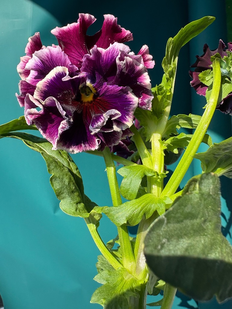 1月も半分過ぎましたね😲